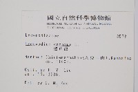 過山龍藏品圖，第2張