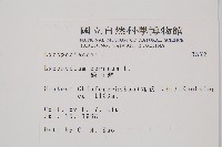 過山龍藏品圖，第2張