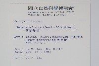 異葉卷柏藏品圖，第2張