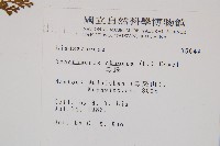 烏蕨藏品圖，第2張