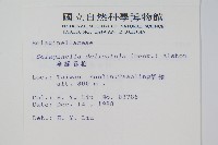 全緣卷柏藏品圖，第2張