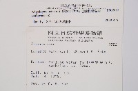 毛軸假蹄蓋蕨藏品圖，第2張