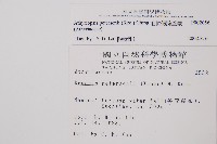 毛軸假蹄蓋蕨藏品圖，第2張