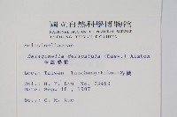 全緣卷柏藏品圖，第2張