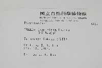 長葉鳳尾蕨藏品圖，第2張