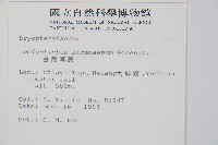 臺灣耳蕨藏品圖，第2張
