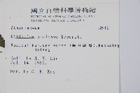 烏來雙蓋蕨藏品圖，第2張