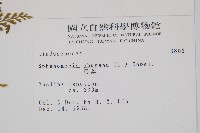 烏蕨藏品圖，第2張