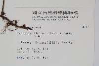 石葦藏品圖，第2張