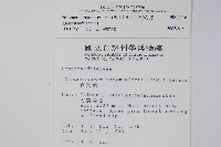 岩穴蕨藏品圖，第2張