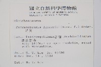 芒萁藏品圖，第2張