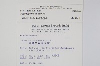 疏羽半邊旗藏品圖，第2張