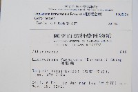 網脈雙蓋蕨藏品圖，第2張