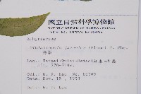 腸蕨藏品圖，第2張