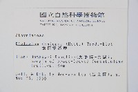 細柄雙蓋蕨藏品圖，第2張
