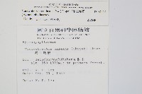 南海瓶蕨藏品圖，第2張