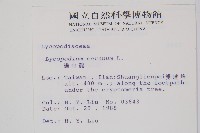 過山龍藏品圖，第2張