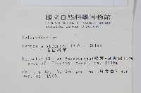 盧山石葦藏品圖，第2張