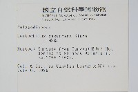 萊蕨藏品圖，第2張