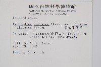 長柄千層塔藏品圖，第2張