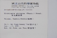 粗毛鱗蓋蕨藏品圖，第2張