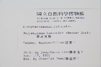 韓氏耳蕨藏品圖，第2張