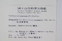 翅軸假金星蕨、短柄卵果蕨藏品圖，第2張