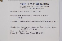 姬蕨藏品圖，第5張