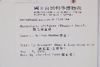 粗毛鱗蓋蕨藏品圖，第2張