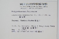 鱗瓦葦、長柄瓦葦藏品圖，第2張