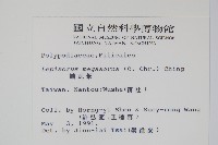 麟瓦葦、川上氏瓦葦藏品圖，第2張