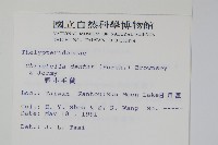 野小毛蕨藏品圖，第2張