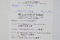 落鱗鱗毛蕨藏品圖，第2張