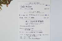疏羽半邊旗藏品圖，第2張