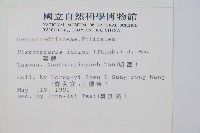 栗蕨藏品圖，第2張