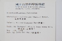 光葉鱗蓋蕨藏品圖，第5張