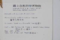 亞粗毛鱗蓋蕨藏品圖，第2張
