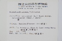 蕨藏品圖，第2張