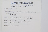 中華裡白藏品圖，第2張