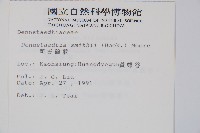 司氏碗蕨藏品圖，第2張