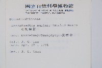 司氏碗蕨藏品圖，第2張