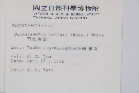 司氏碗蕨藏品圖，第2張