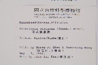 粗毛鱗蓋蕨藏品圖，第2張