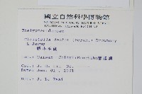 野小毛蕨藏品圖，第2張