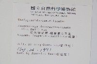 翅軸假金星蕨、短柄卵果蕨藏品圖，第2張