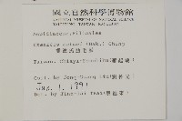 愛德氏肋毛蕨藏品圖，第2張