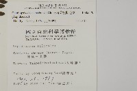 薄葉擬肋毛蕨藏品圖，第2張