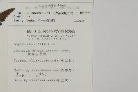 薄葉擬肋毛蕨藏品圖，第2張