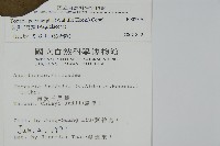南投三叉蕨藏品圖，第2張