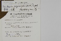 南投三叉蕨藏品圖，第2張